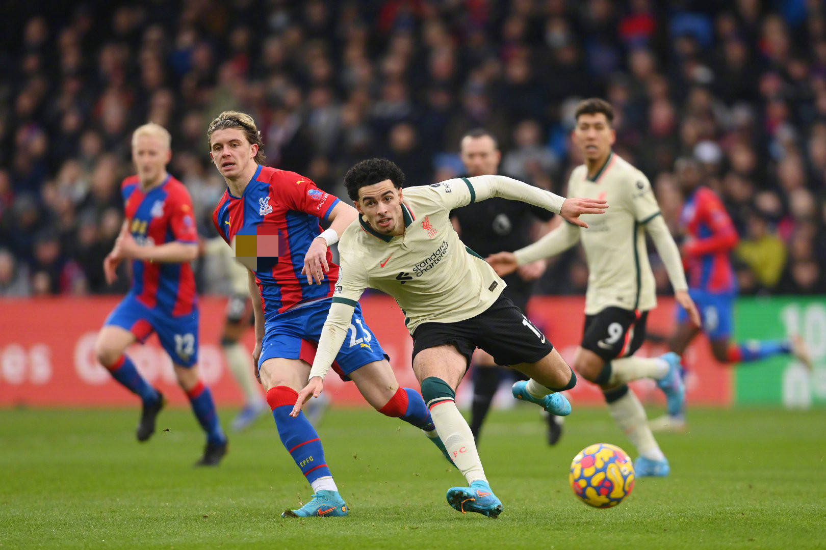 七子之歌 七子之歌